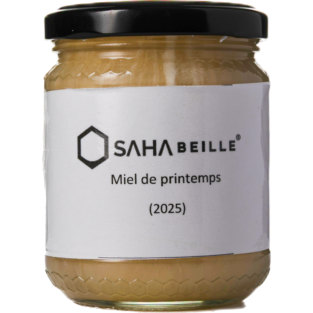 SAhabeille - Miel De Printemps