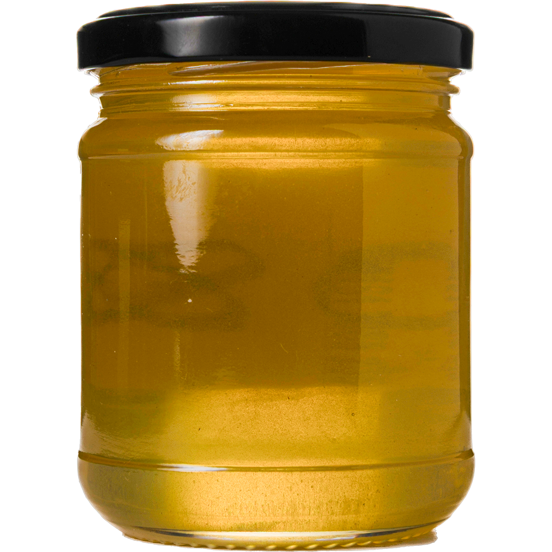 Muhammad Dhibyan Al-Uthmani Al-Balawi - Moringa